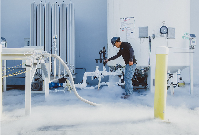 Cryogenic Pumps